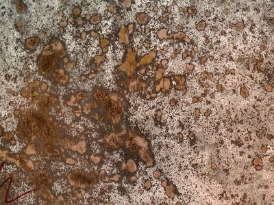 Professional ceiling water damage repair services in Renton